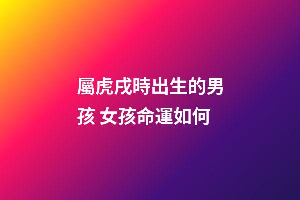 屬虎戌時出生的男孩 女孩命運如何